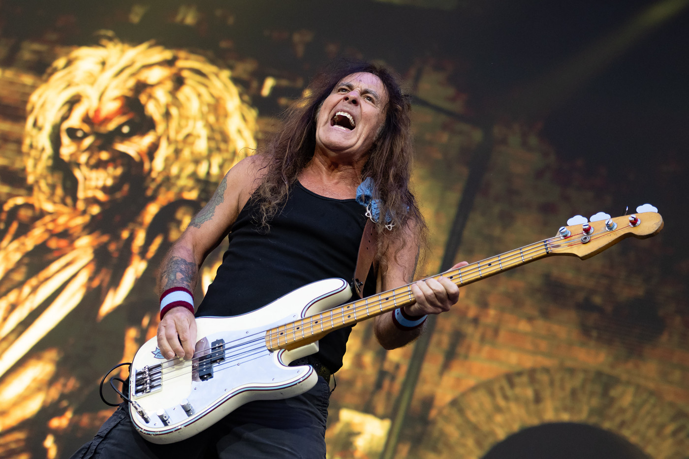 Iron Maiden onstage in London. Photo: Neil Lupin