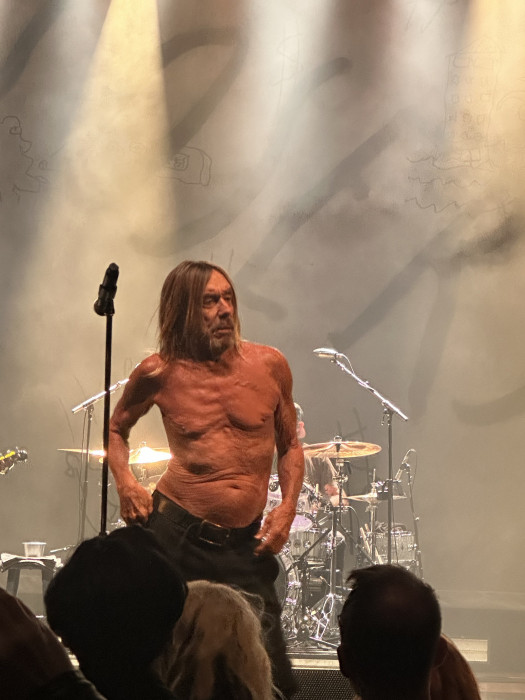 Iggy Pop and The Losers